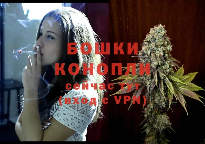 Бошки Шишки Ganja  Кизляр 